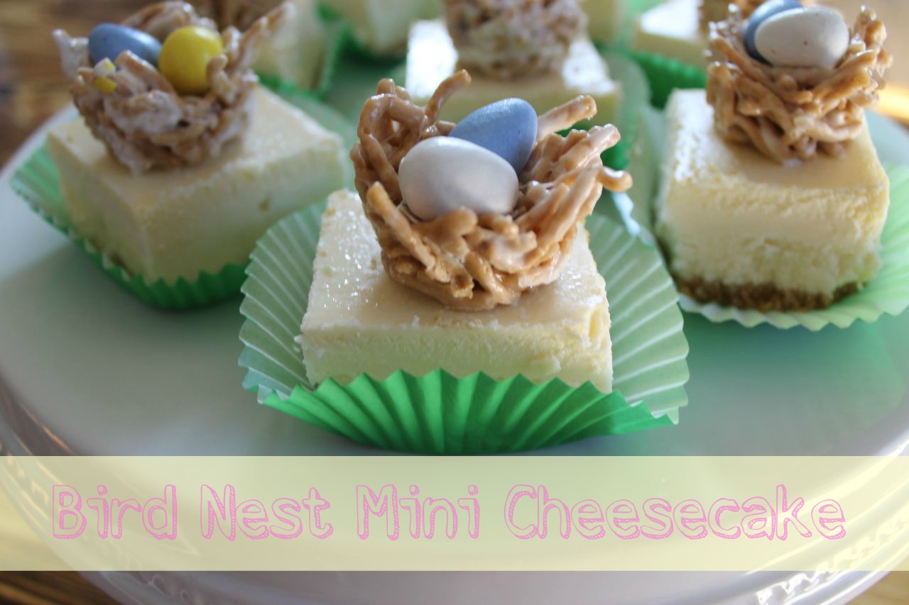 Bird Nest Mini Cheesecakes
